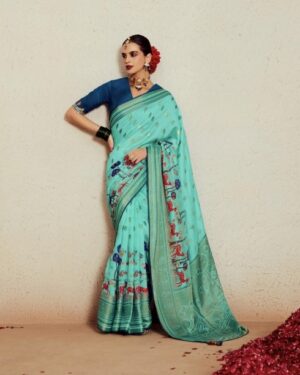 fancy saree