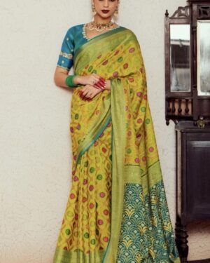 fancy saree