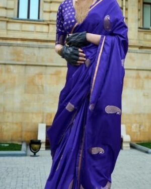 fancy saree (copy)