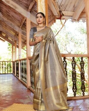 fancy saree (copy)